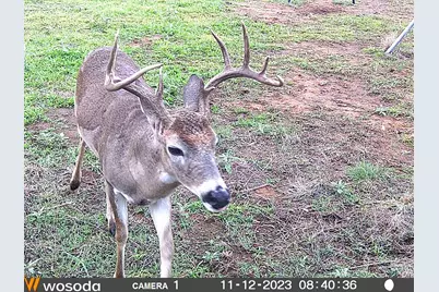 4900 W Highway 71, Llano, TX 78643 - Photo 10