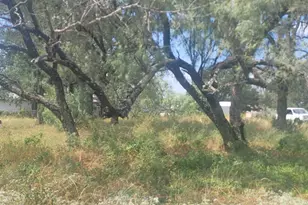 Tbd Kingsmoon Dr, Granite Shoals, TX 78654 - Photo 4