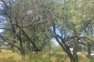 Tbd Kingsmoon Dr, Granite Shoals, TX 78654 - Photo 1