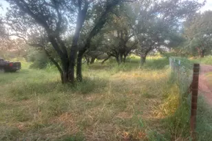 505 E Fm 501 Hwy, Cherokee, TX 76832 - Photo 6