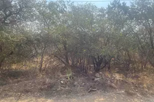 00 Radium, Burnet, TX 78611 - Photo 4