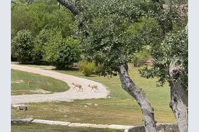 1953 County Road 250, Burnet, TX 78611 - Photo 30