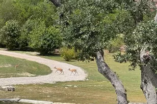 1953 Co Rd 250, Burnet, TX 78611 - Photo 30