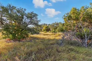 Tbd Vista View Trail, Spicewood, TX 78669 - Photo 8