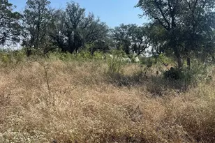 707 Maple Ln, Cottonwood Shores, TX 78657 - Photo 4