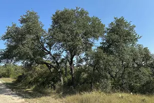 Unk Hwy 29, Bertram, TX 78605 - Photo 6