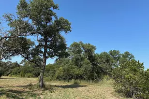 Unk Hwy 29, Bertram, TX 78605 - Photo 2