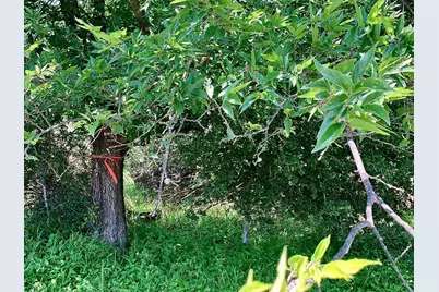 Lot 520 Aspen Lane, Cottonwood Shores, TX 78657 - Photo 2