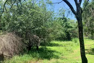 Lot 520 Aspen Ln, Cottonwood Shores, TX 78657 - Photo 4