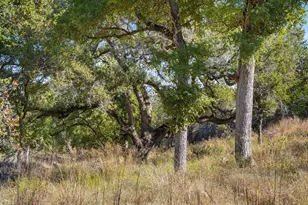 1301 Rm 2147, Marble Falls, TX 78654 - Photo 2