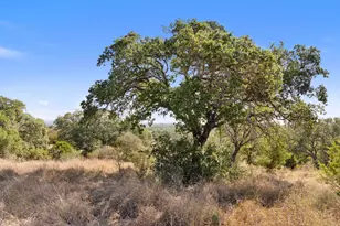 1301 Rm 2147, Marble Falls, TX 78654 - Photo 4