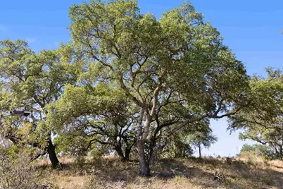 1301 Rm 2147, Marble Falls, TX 78654 - Photo 12