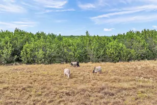 1413 Lonesome Bird, Burnet, TX 78611 - Photo 28