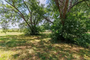 288 Turkey Run, Meadowlakes, TX 78654 - Photo 10