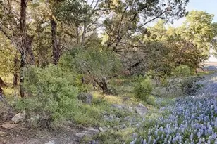 K12004 Mountain Dew, Horseshoe Bay, TX 78657 - Photo 4