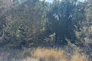 000 Cr 304 Rd, Bertram, TX 78605 - Photo 8