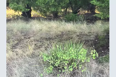 3108 Burnside Circle, Lago Vista, TX 78645 - Photo 2