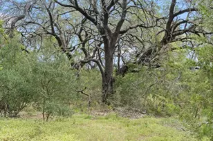 1019 Fm 3509 Hoover Valley Rd, Burnet, TX 78611 - Photo 20