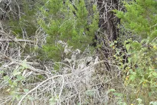 K12034 Stampede St, Horseshoe Bay, TX 78657 - Photo 6