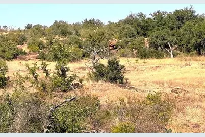 0 N Cr 404, Llano, TX 78643 - Photo 12