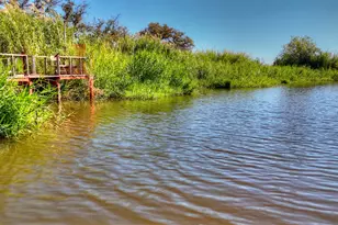 204 Lagitos Ln, Llano, TX 78643 - Photo 4