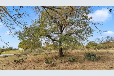 Lt 167 Skyline Drive, Kingsland, TX 78639 - Photo 12