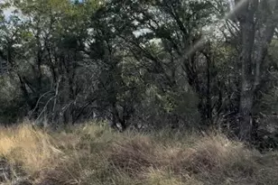 1104 Stampede, Horseshoe Bay, TX 78657 - Photo 2