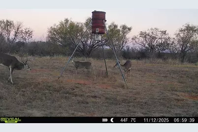 2391 W Fm 574, Mullin, TX 76864 - Photo 14