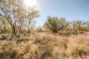 Tbd Hill Glen Dr, Granite Shoals, TX 78654 - Photo 2