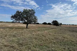 126 Acres County 204 Rd, Burnet, TX 78611 - Photo 4