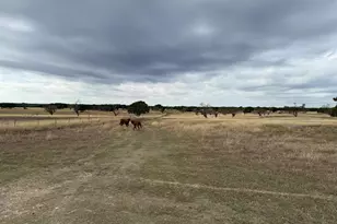 126 Acres County 204 Rd, Burnet, TX 78611 - Photo 8