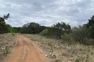 Lot 129 Cr 140, Burnet, TX 78611 - Photo 6