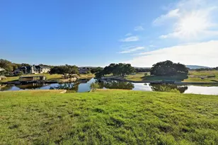 Lot 44A Blue Heron Dr, Kingsland, TX 78639 - Photo 22