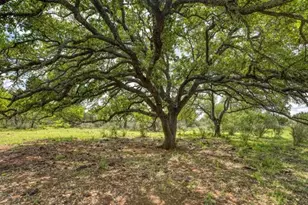 948 Co Rd 314, Llano, TX 78643 - Photo 30