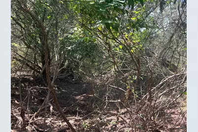 Mourning Dove Lane, Lampasas, TX 76550 - Photo 6