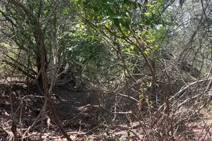 Mourning Dove Ln, Lampasas, TX 76550 - Photo 6