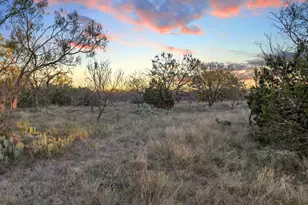 Lt 109 Quail Trail, Marble Falls, TX 78654 - Photo 8