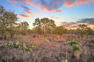 Lt 111 Quail Trail, Marble Falls, TX 78654 - Photo 14