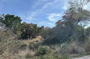 697 698 Castlehigh, Granite Shoals, TX 78654 - Photo 2