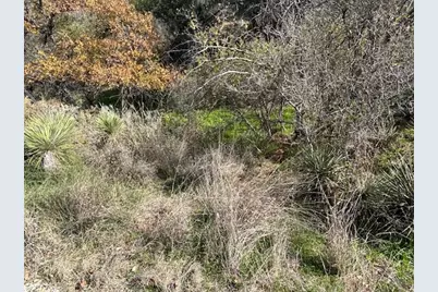 697 698 Castlehigh, Granite Shoals, TX 78654 - Photo 6