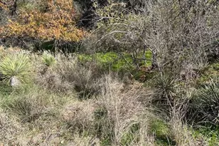 697 698 Castlehigh, Granite Shoals, TX 78654 - Photo 6