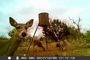 125 W Granite Oaks Dr, Burnet, TX 78611 - Photo 24