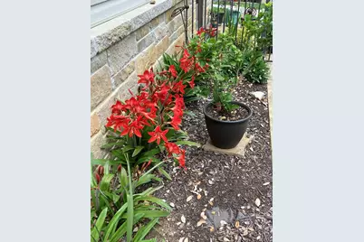 213 Lakeview, Sunrise Beach, TX 78643 - Photo 6