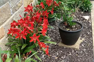 213 Lakeview, Sunrise Beach, TX 78643 - Photo 6