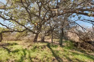 330 Sunset Dr, Marble Falls, TX 78654 - Photo 8