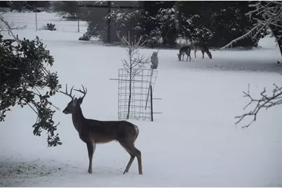 2116 County Road 403, Marble Falls, TX 78654 - Photo 8