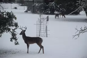 2116 Co Rd 403, Marble Falls, TX 78654 - Photo 8