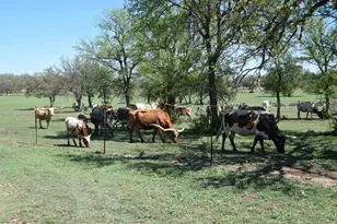 2116 Co Rd 403, Marble Falls, TX 78654 - Photo 20