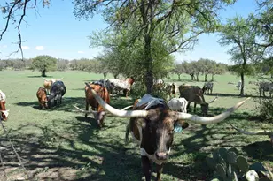 2116 Co Rd 403, Marble Falls, TX 78654 - Photo 18