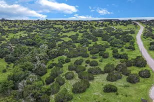 Lot 58 Walnut Canyon Dr, Bertram, TX 78605 - Photo 4